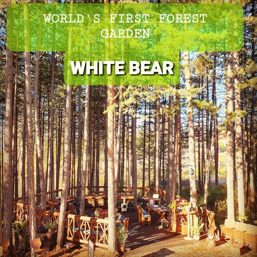 Apartment White Bear Златибор Екстер'єр фото